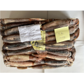 Congelato illex argentinus tutto round squid 100-200g